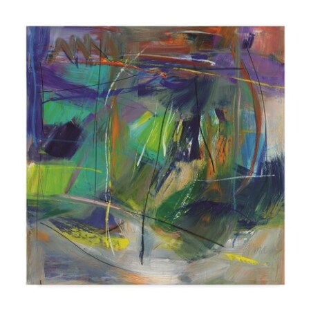 Shana Dominguez 'Mist Of Nature' Canvas Art,14x14